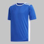 green white Front hooped soccer jersey