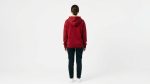 Women's Burgundy Gold Lion Hoodie